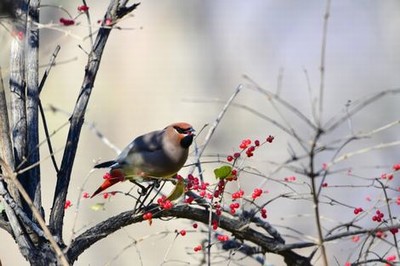 三国卡牌回合制游戏推荐