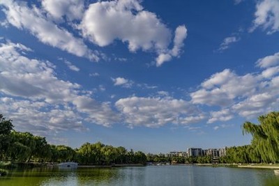 两个孕妇临盆捂着肚子倒在地上