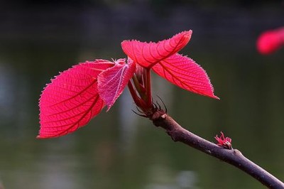 地下偶像动漫