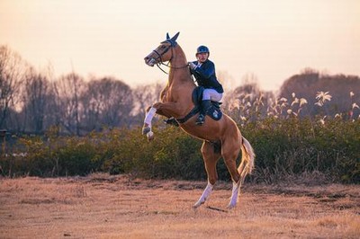 家庭教师日语高清版