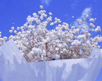 日本100部顶级推理片经典