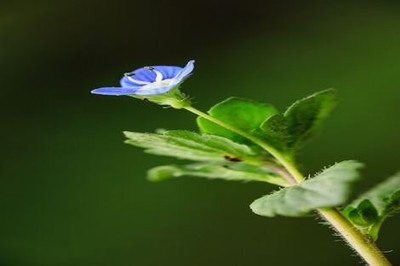 最新电影网站