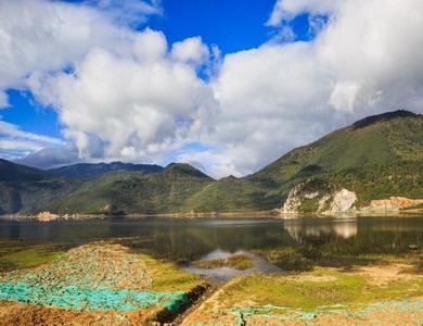 樱花校园怀孕生孩子视频