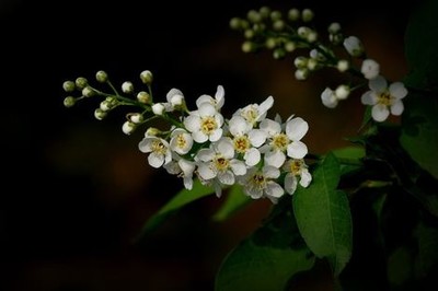 橙黄色油漆