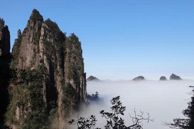 毒舌律师电影粤语在线观看免费