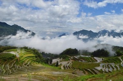 洗手池弹跳按压式塞子怎么抠出来