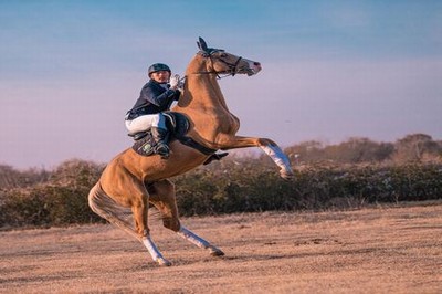 满洲里住宾馆怎么找毛子