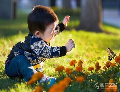 父辈的荣耀免费观看