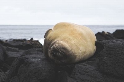 生理卫生教育片免费观看