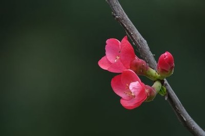 筋膜枪当电动棒吊起来vk