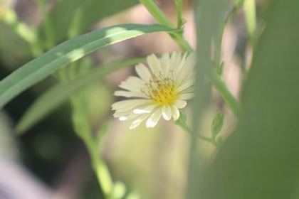 苹果id登录官网入口