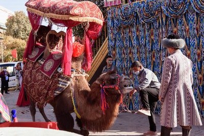 闯关东是指从哪到哪