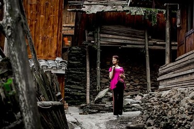 雪花女神龙全集完整版免费观看